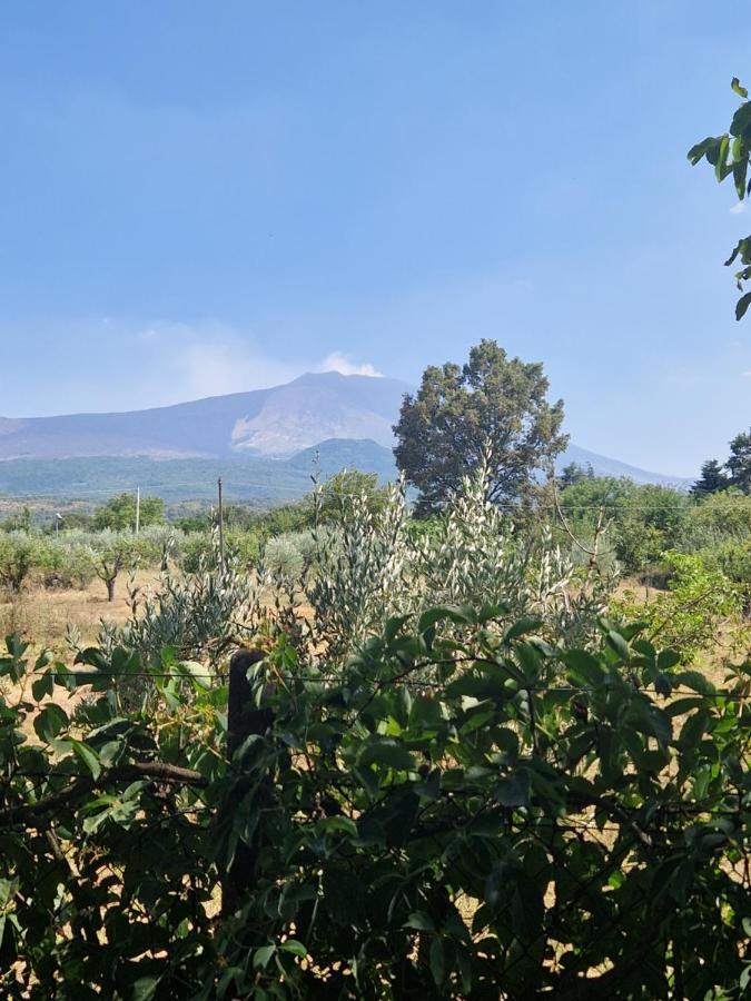 La Casa Di Giulia Villa Bronte Eksteriør bilde